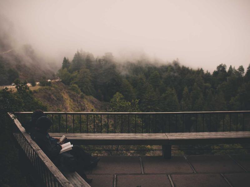 Tải xuống trang web chính thức của Zalo