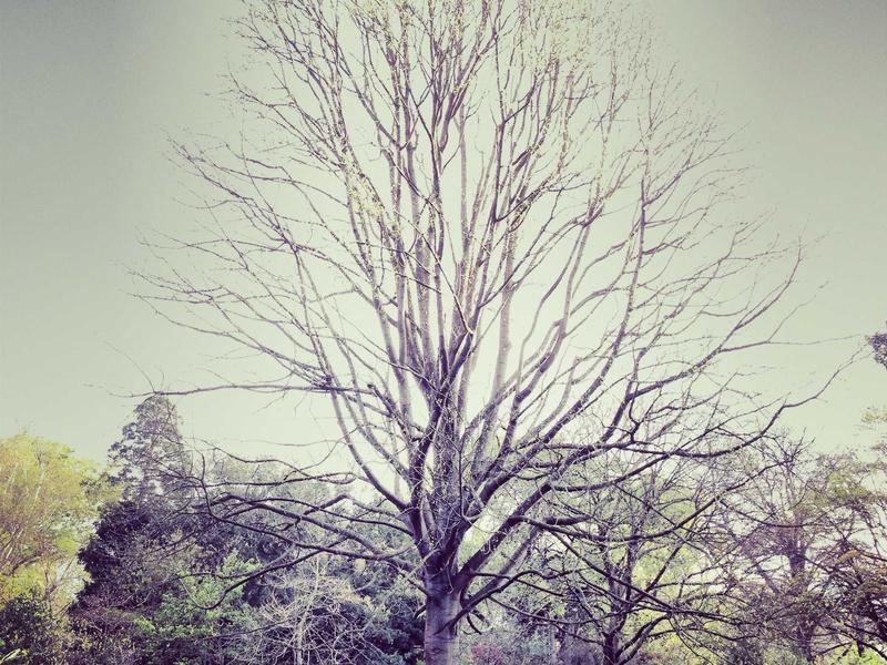 Zalo PC应用程序可在Windows、Mac OS和Web上使用